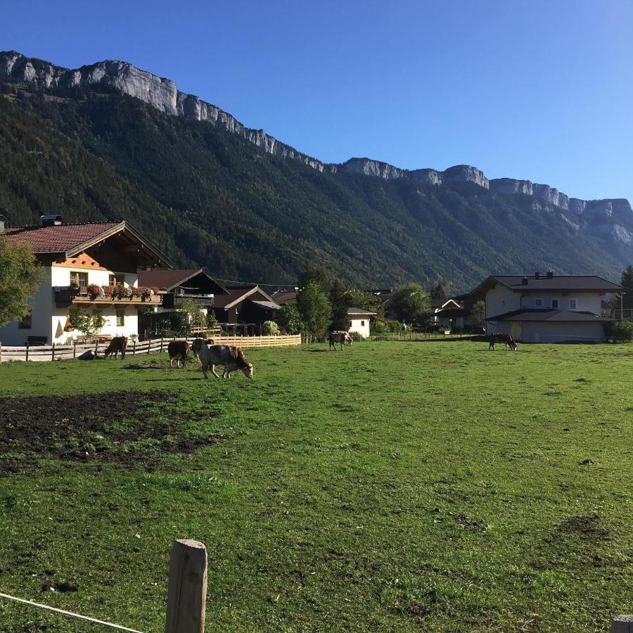 Haus Alpenrose Waidring Exterior foto